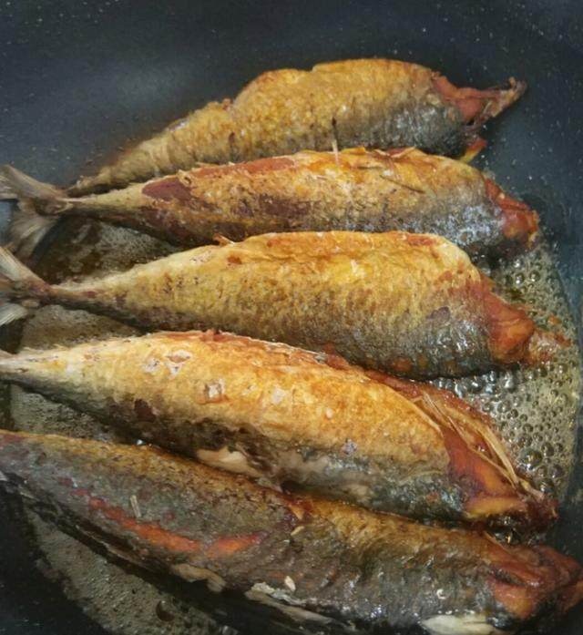 椿子的做法大全：宠物护理秘籍